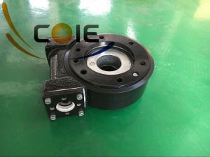 25 colių sliekinės pavaros pavara